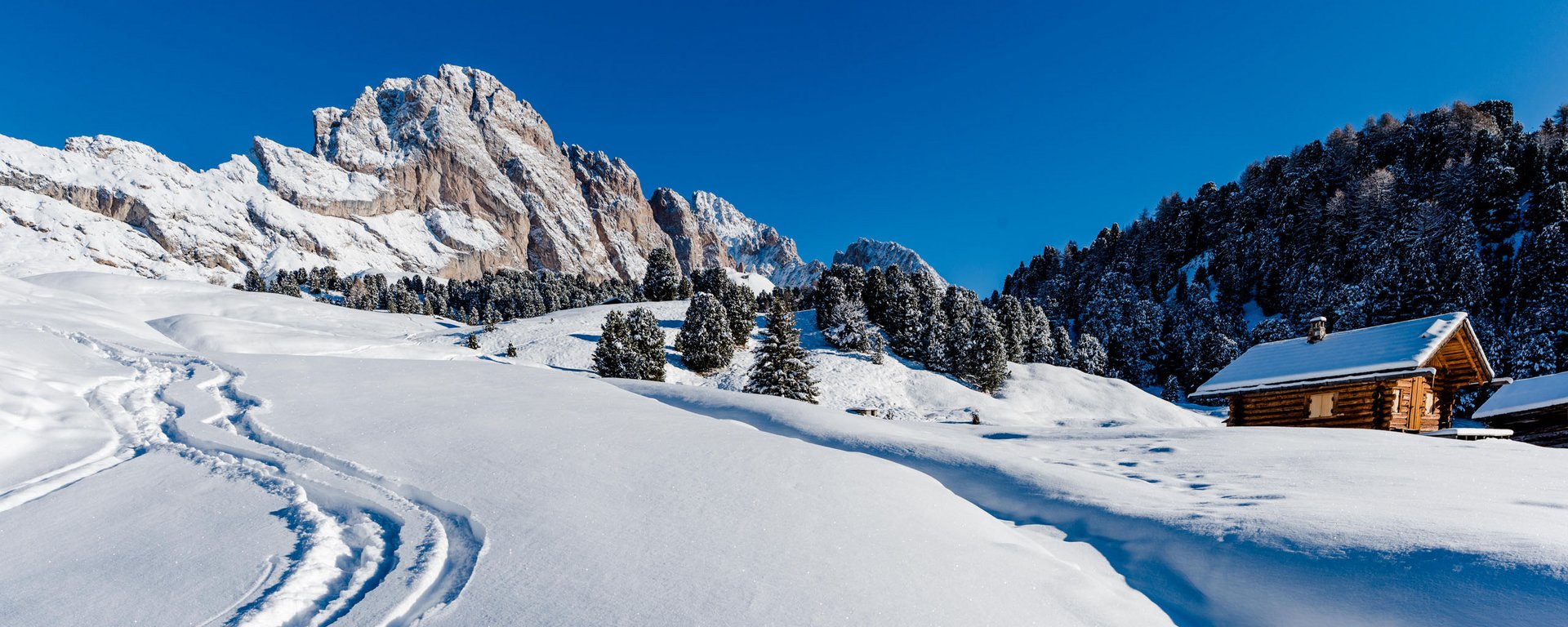 Un mondo di attività invernali per bambini