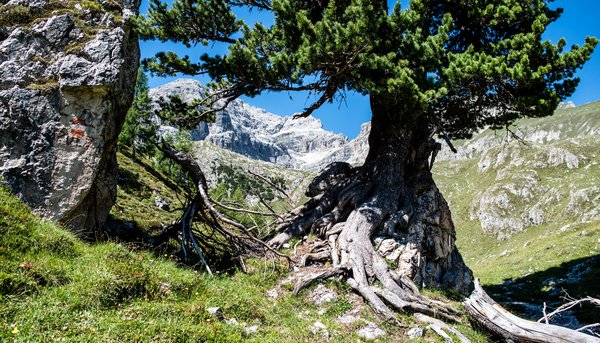 The weather in Val Gardena: conditions and forecasts