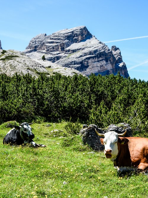 Hotel con spa in Val Gardena: wellness per tutta la famiglia